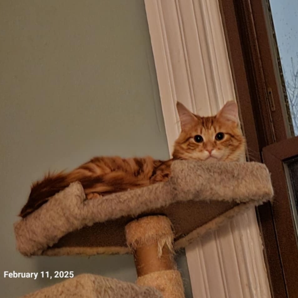 G Fluff (Bonded to G Swirl)