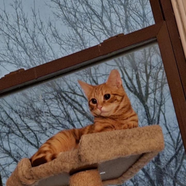 G swirl (Bonded to G Fluff) 1