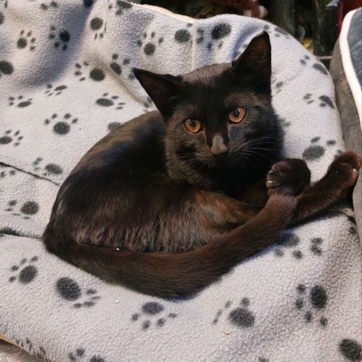 Sabrina 1