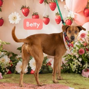 Betty