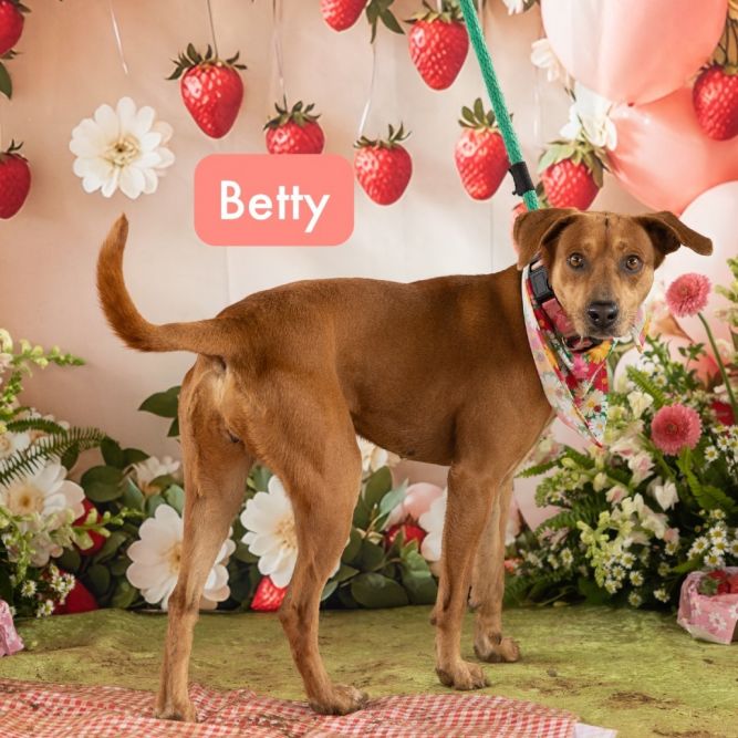 Betty