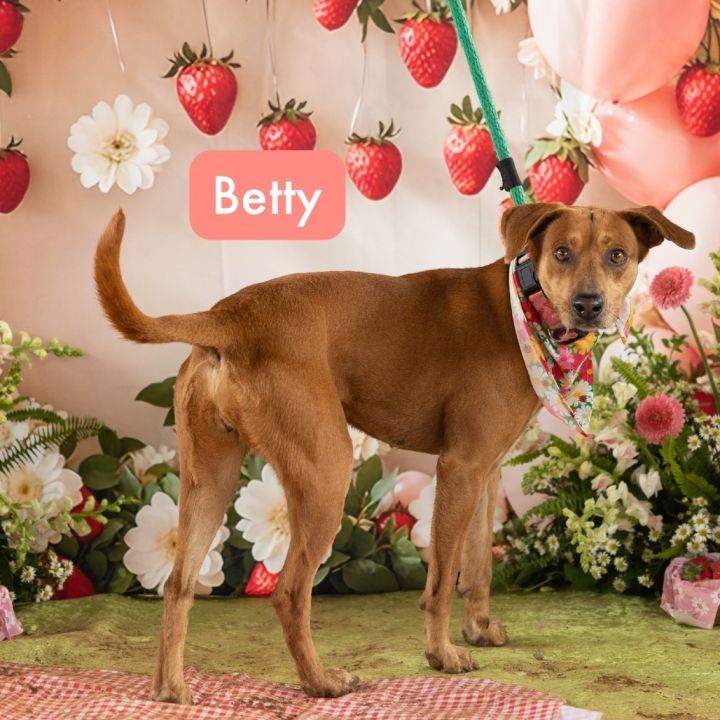 Betty 1
