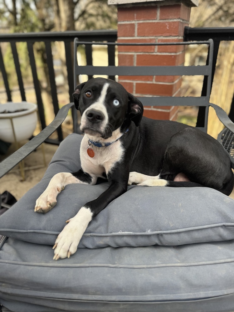 Rosie