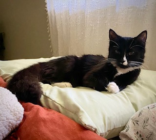 Precious
