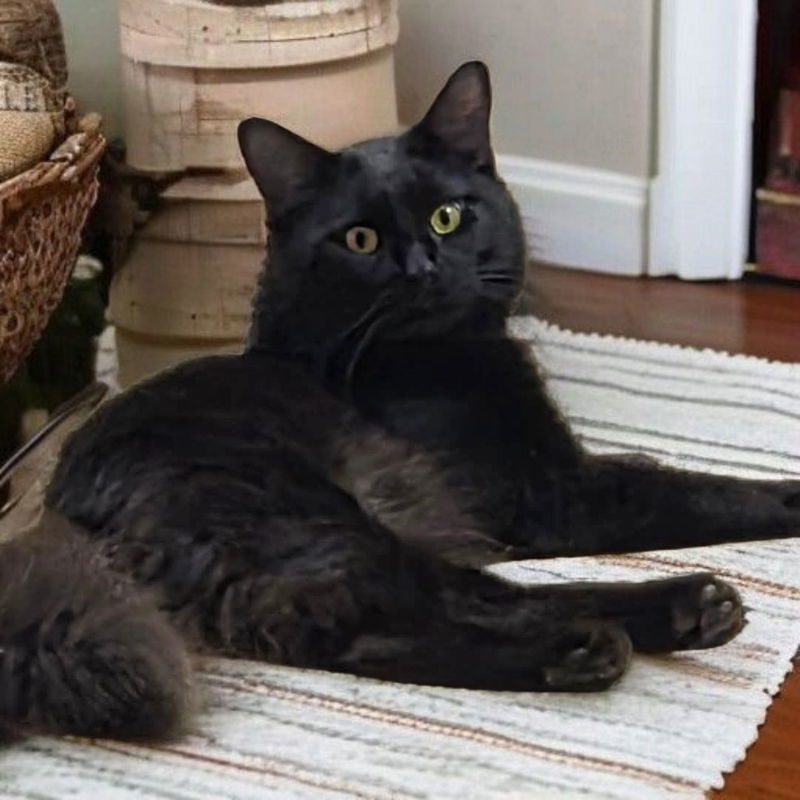 Onyx