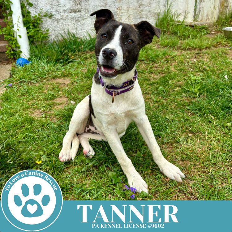 Tanner (Philly Fanatics) 042625