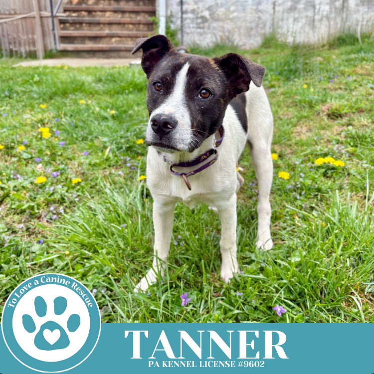 Tanner (Philly Fanatics) 042625