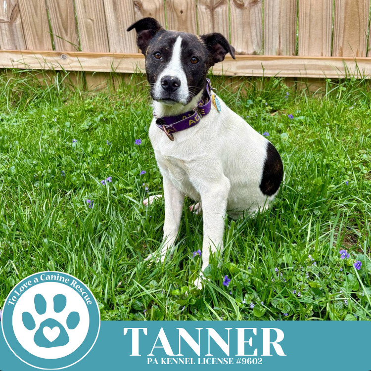 Tanner (Philly Fanatics) 042625