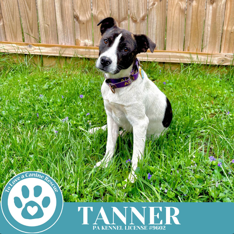 Tanner (Philly Fanatics) 042625