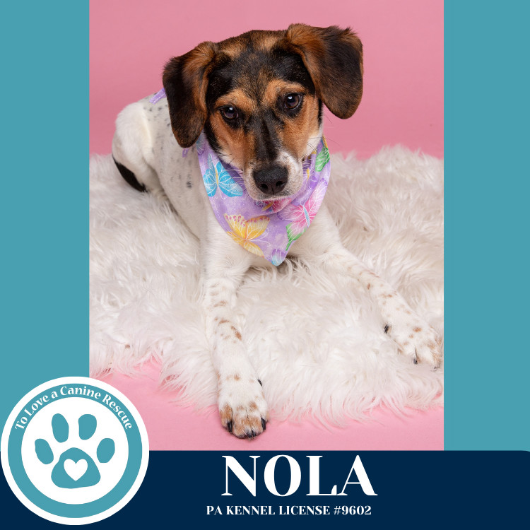 Nola (Philly Fanatics) 042625