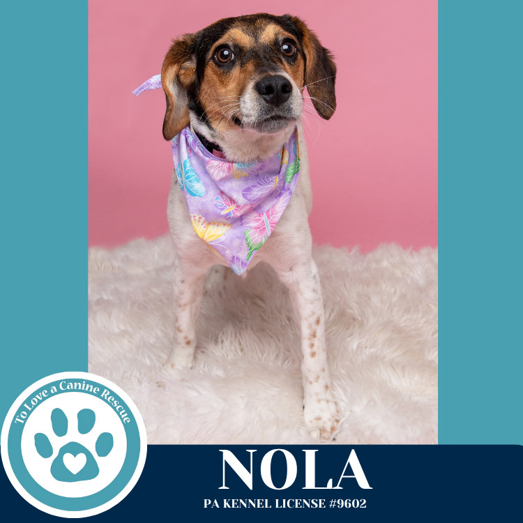 Nola (Philly Fanatics) 042625