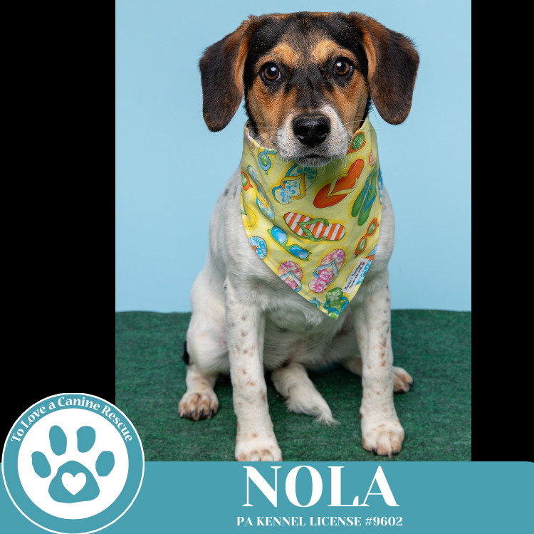 Nola (Philly Fanatics) 042625