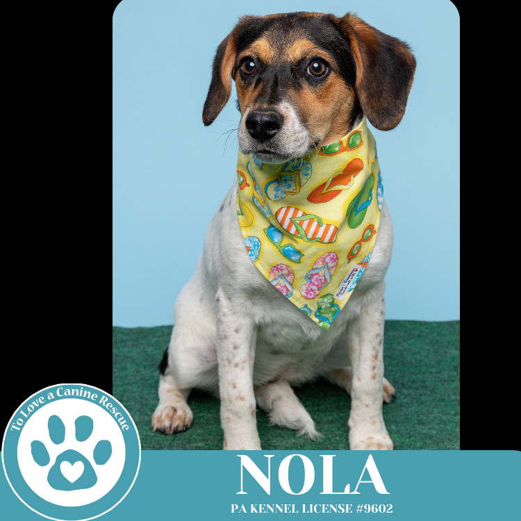 Nola (Philly Fanatics) 042625