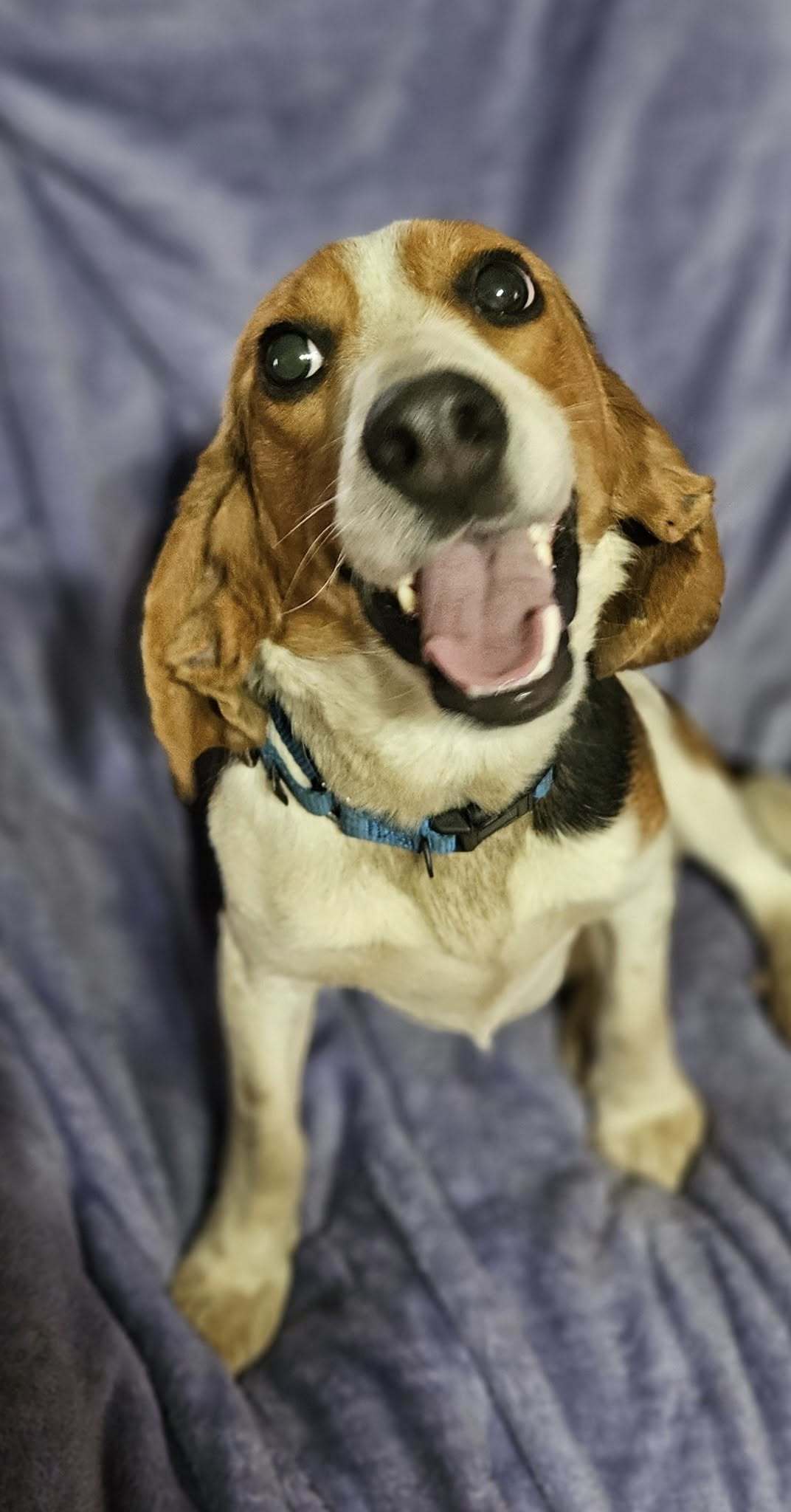 Doc