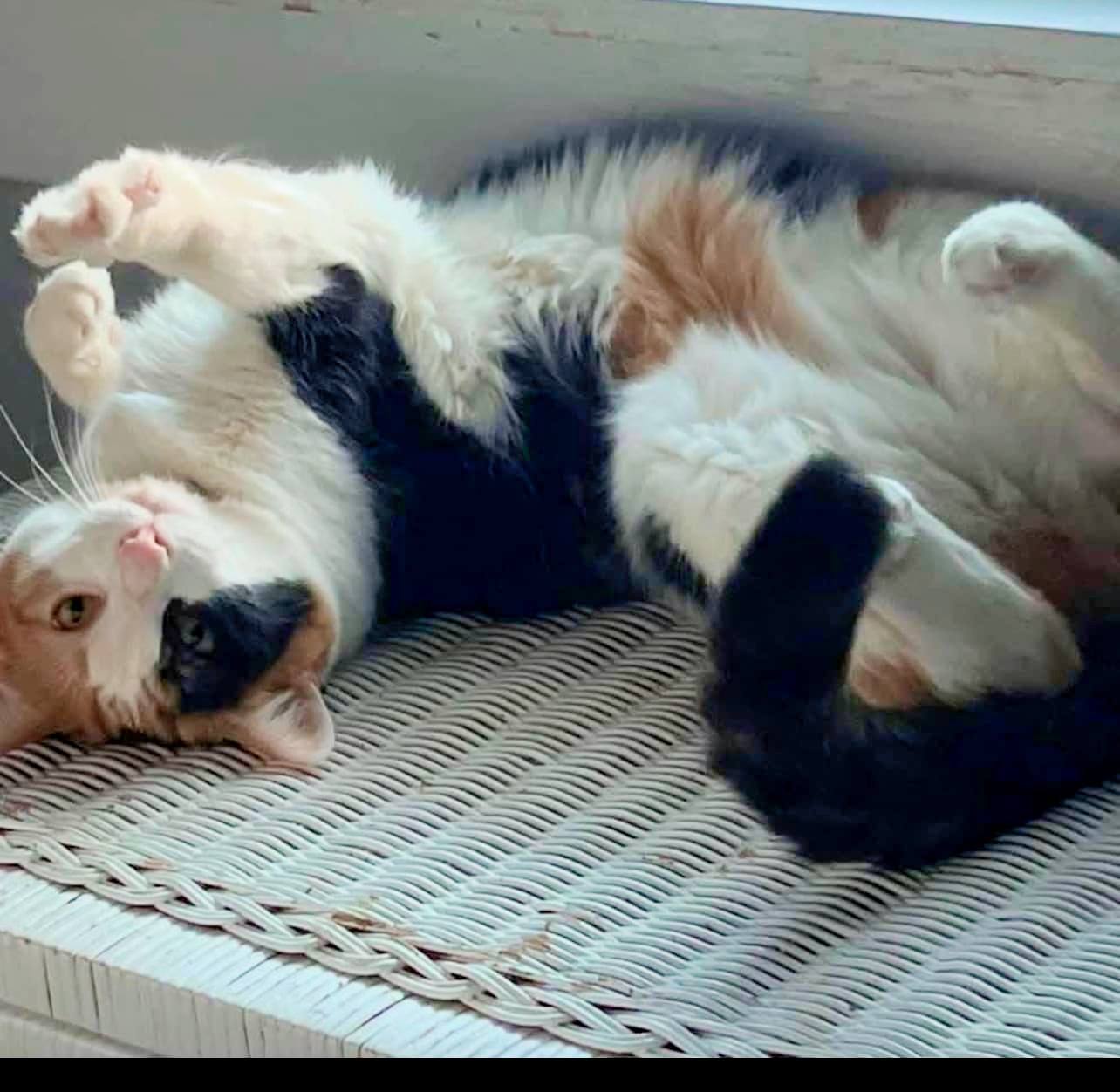 Delilah
