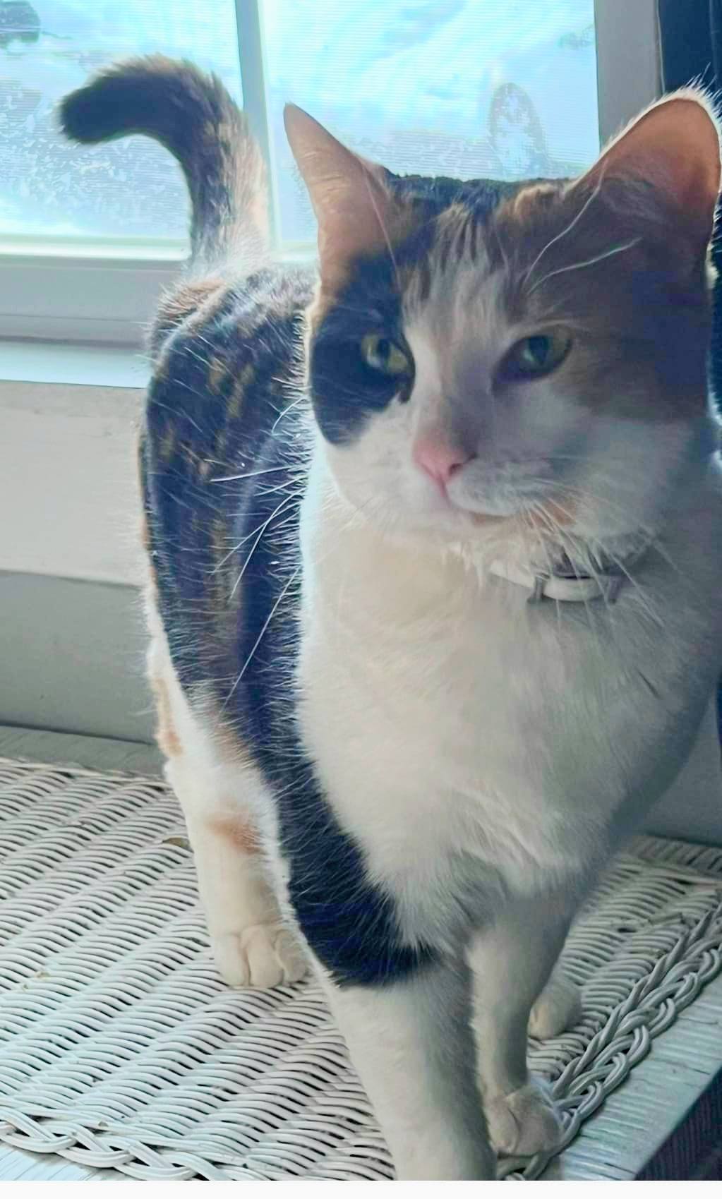 Delilah