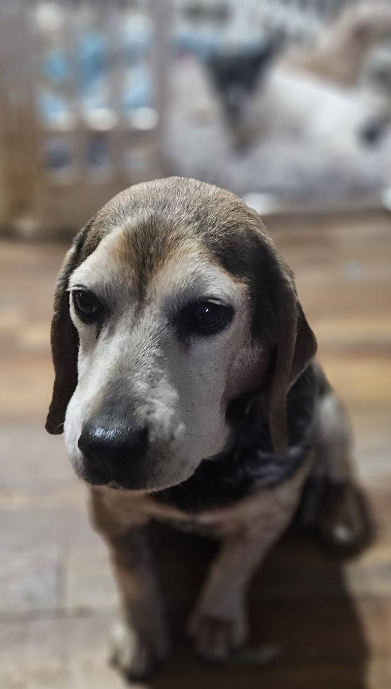 Edna