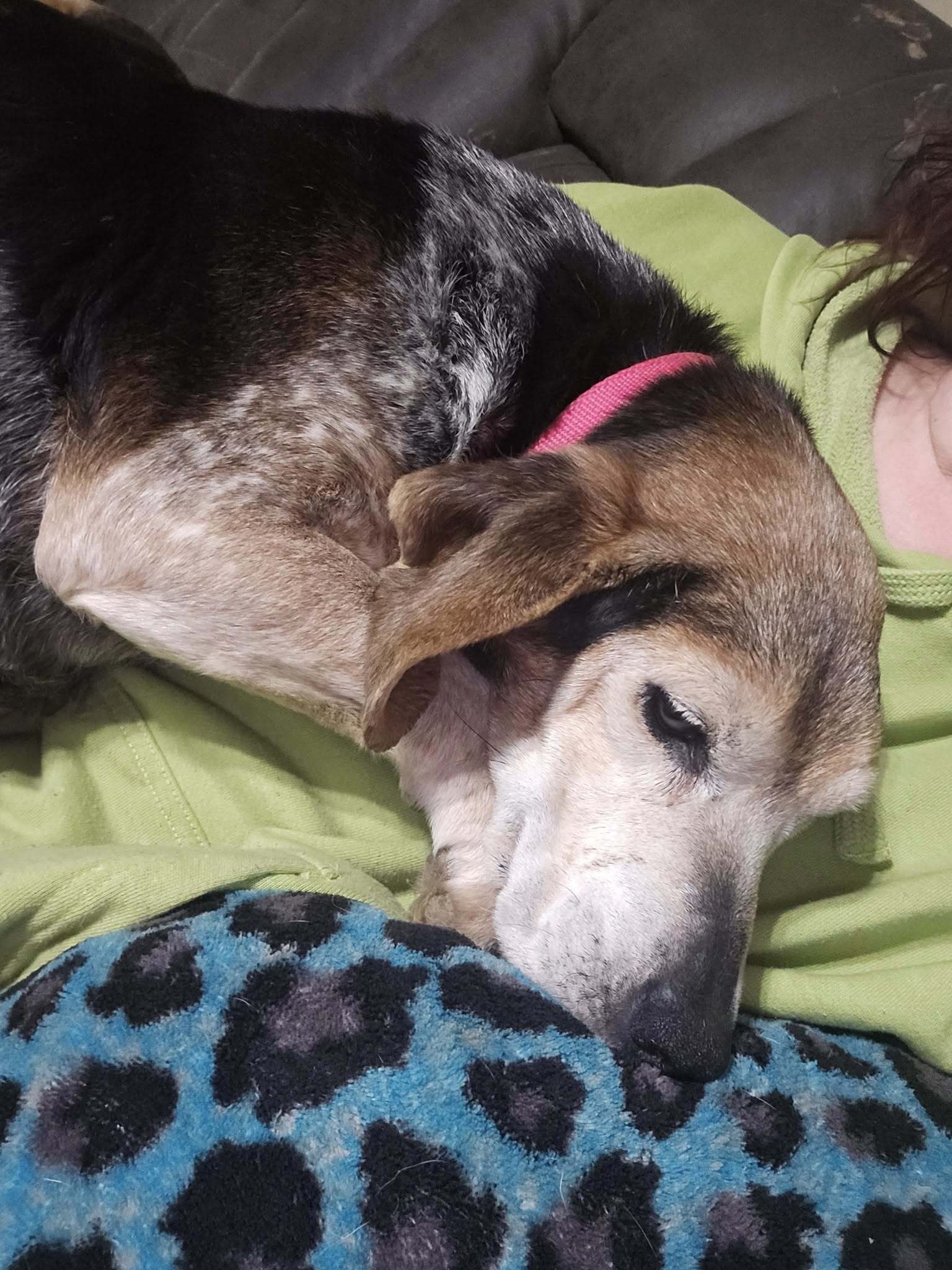 Edna