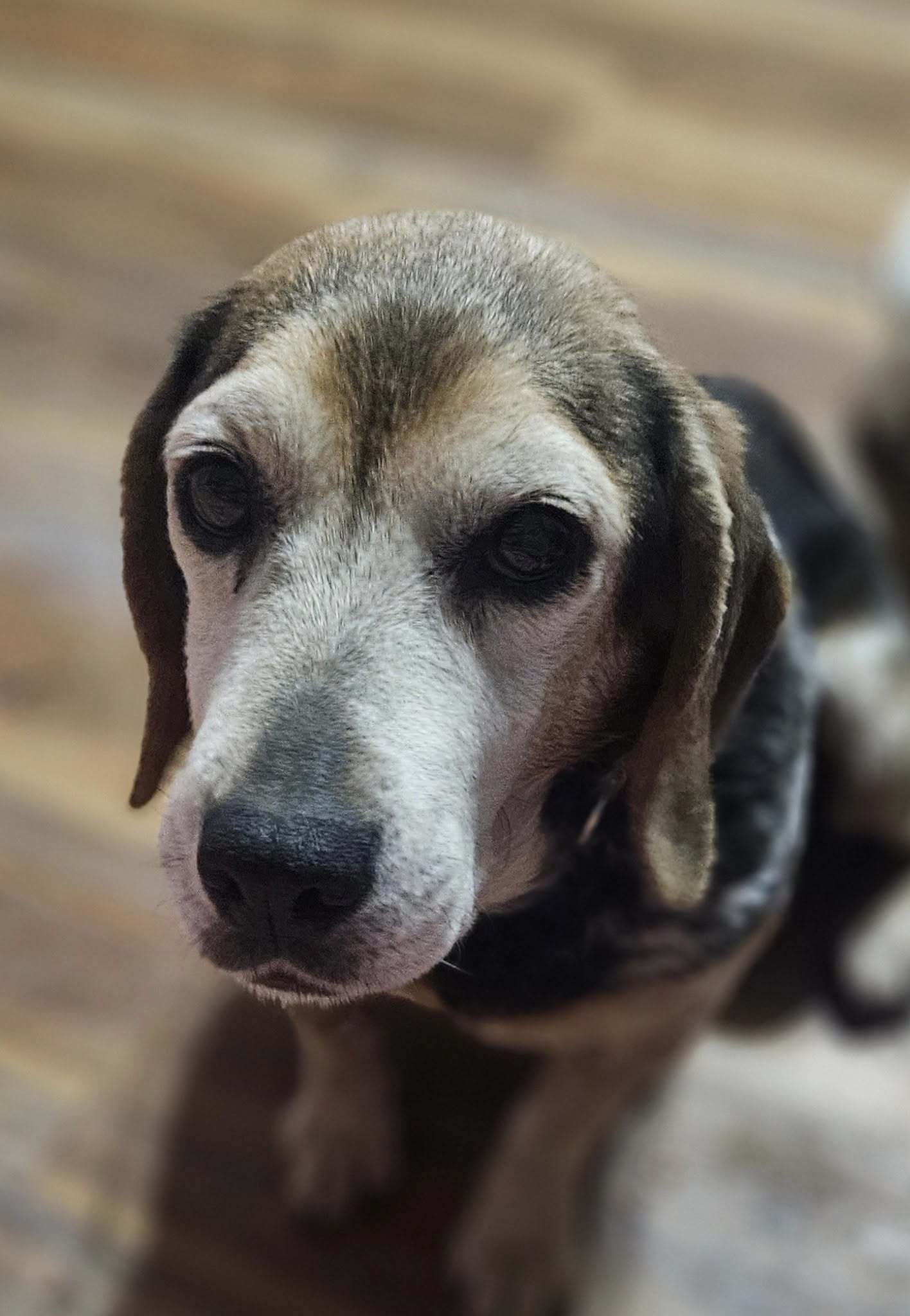 Edna
