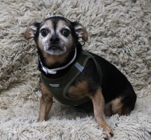 Ruger AKA Benny