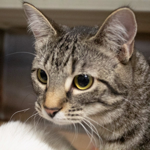 Linda -- Bonded Buddy With Jimmy