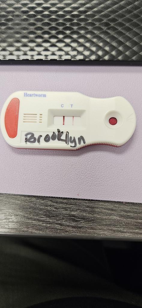 Brooklyn