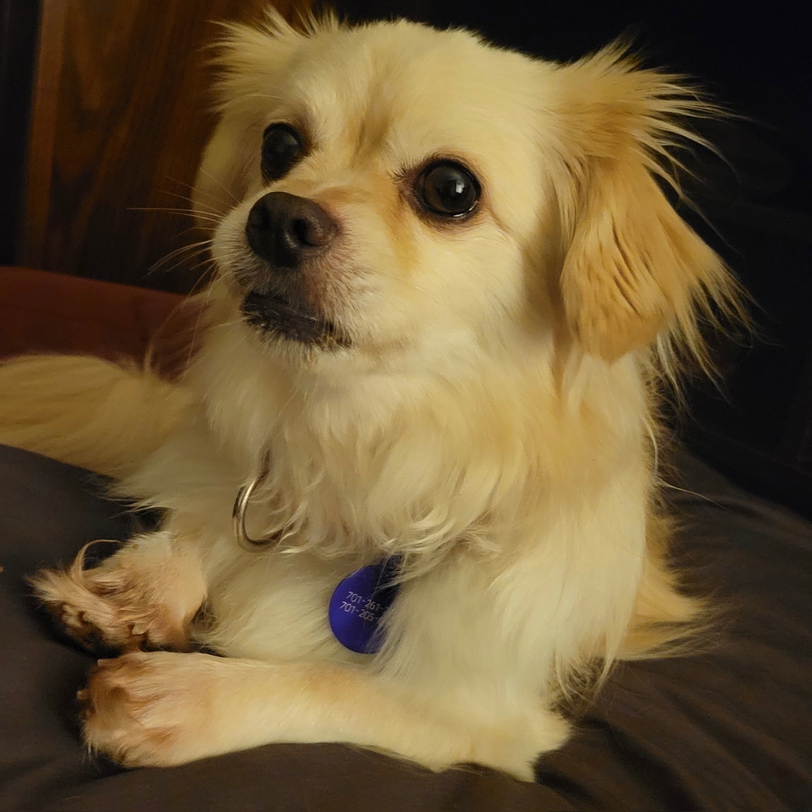 Sir Reginold Woffington