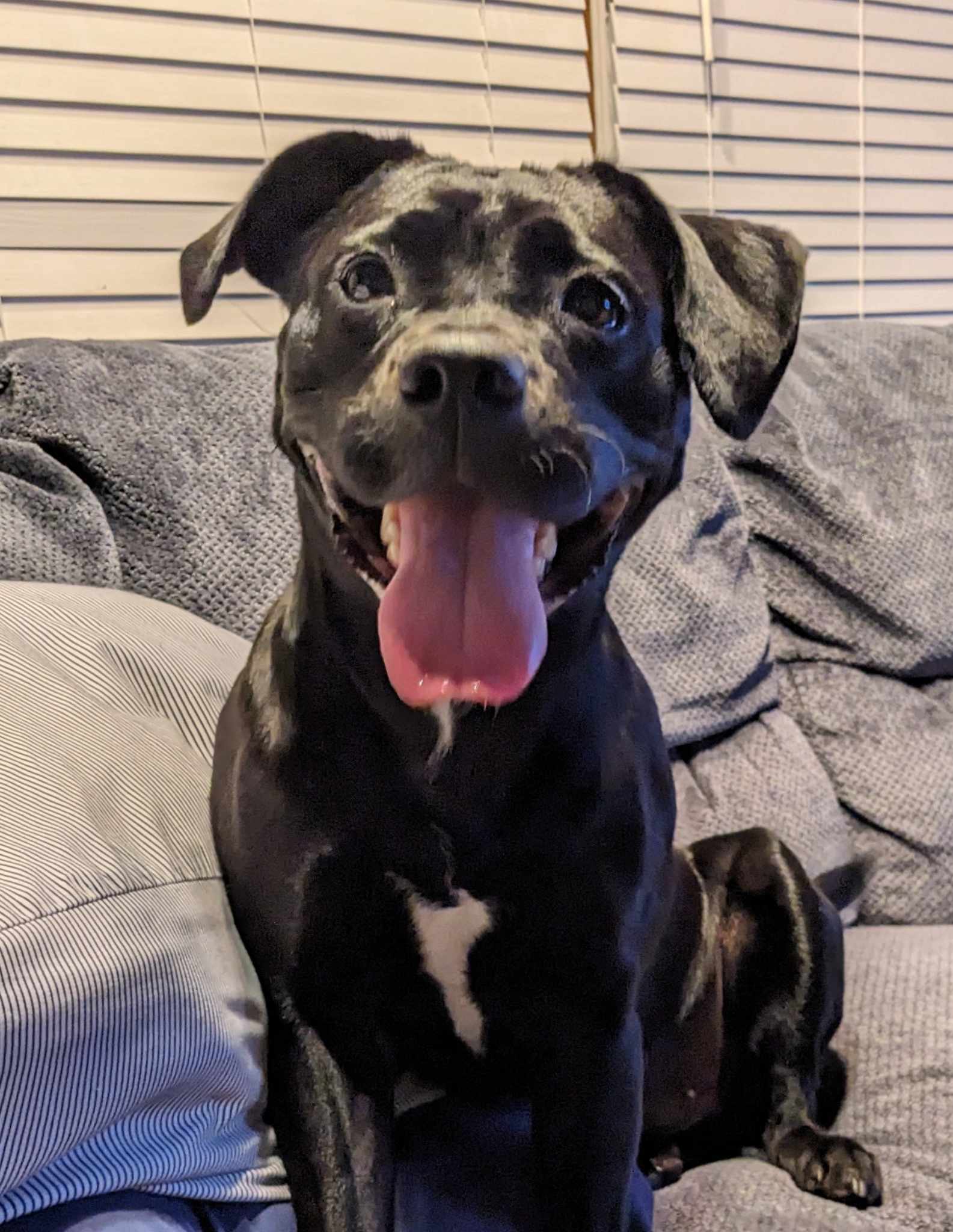 Mazie FKA Ducky