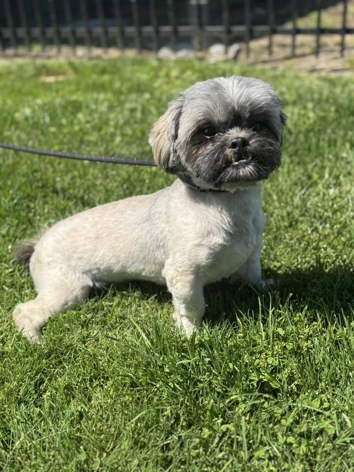 Wicket 1