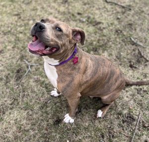 Bella