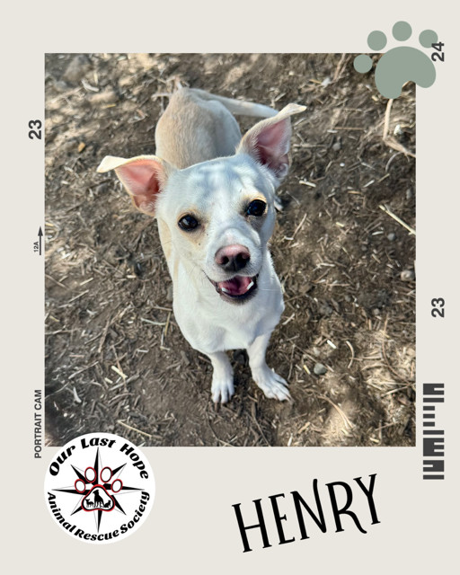 Henry