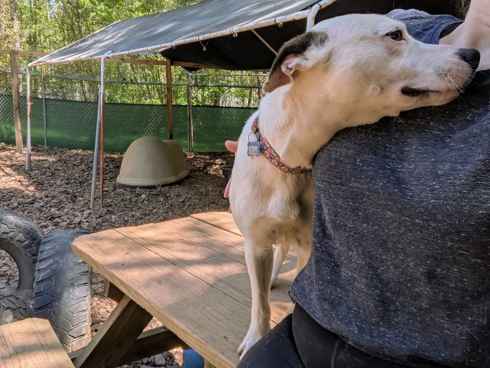 Petey