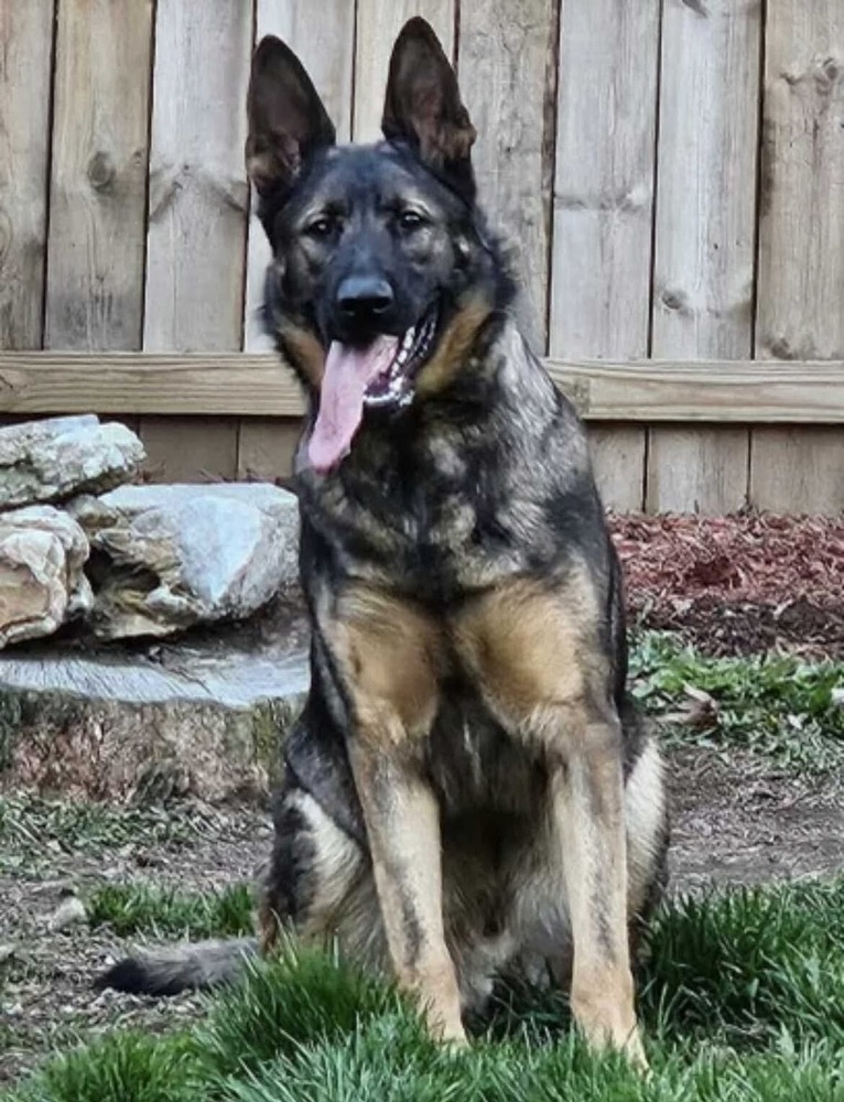 Luca