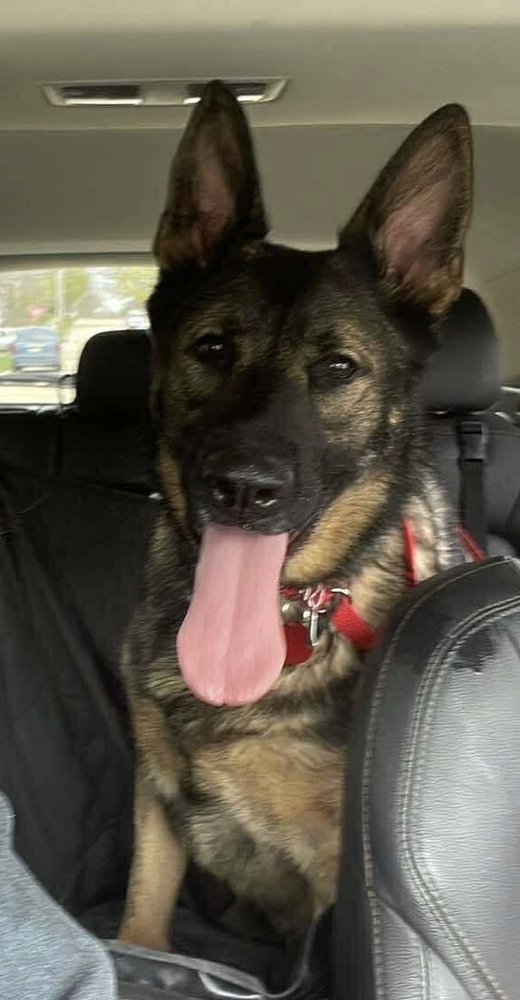 Luca
