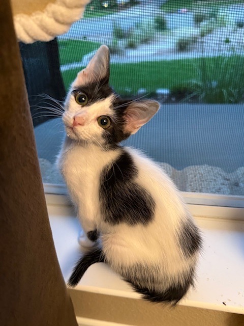 Minnie