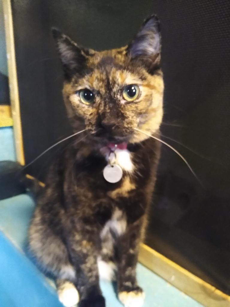 Lydia