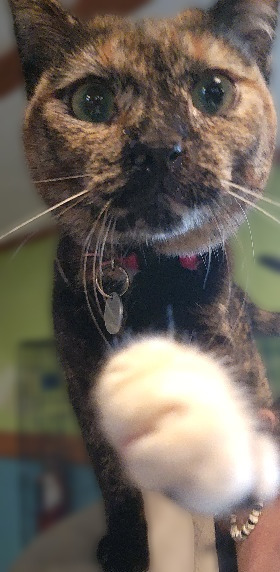 Lydia