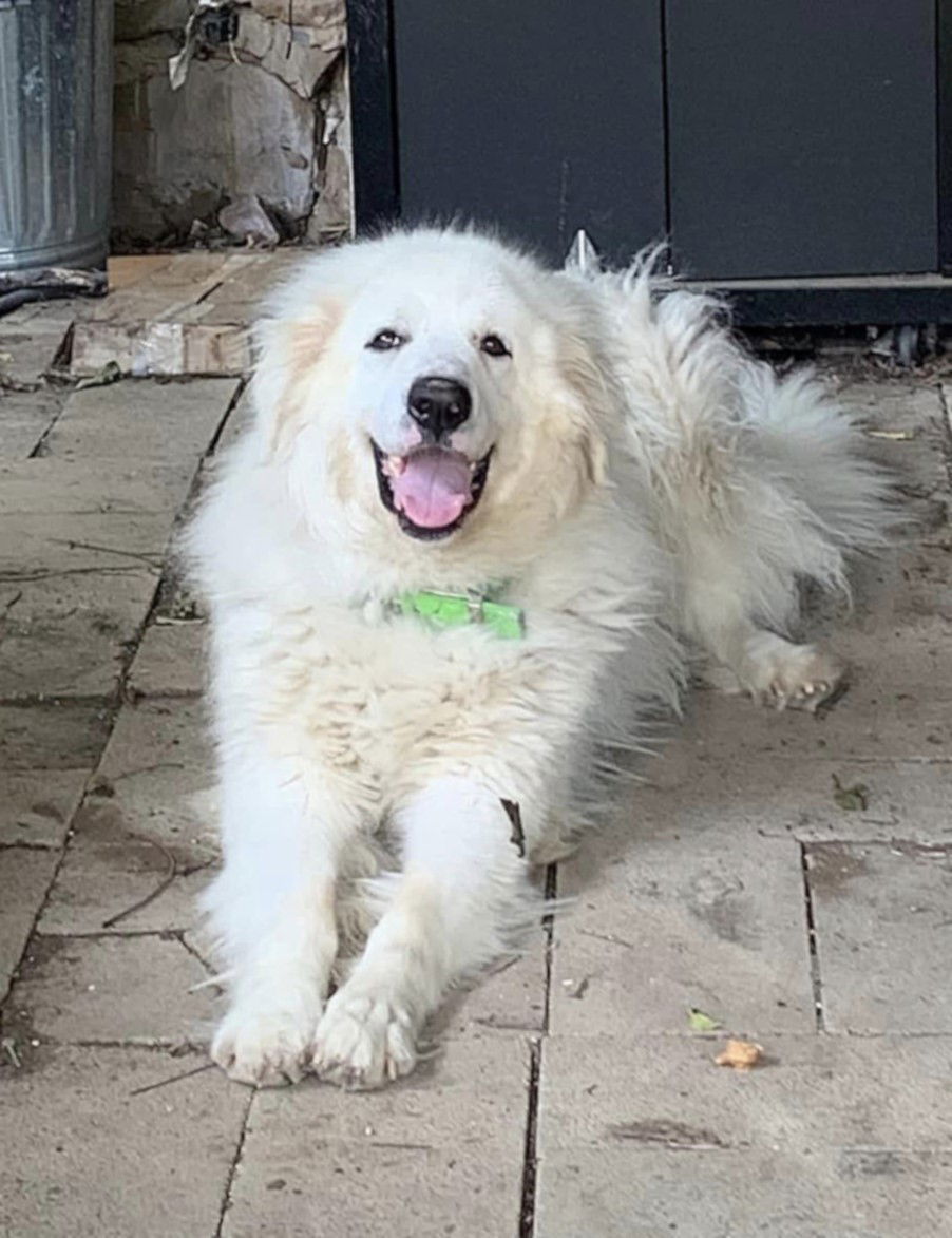 Erik