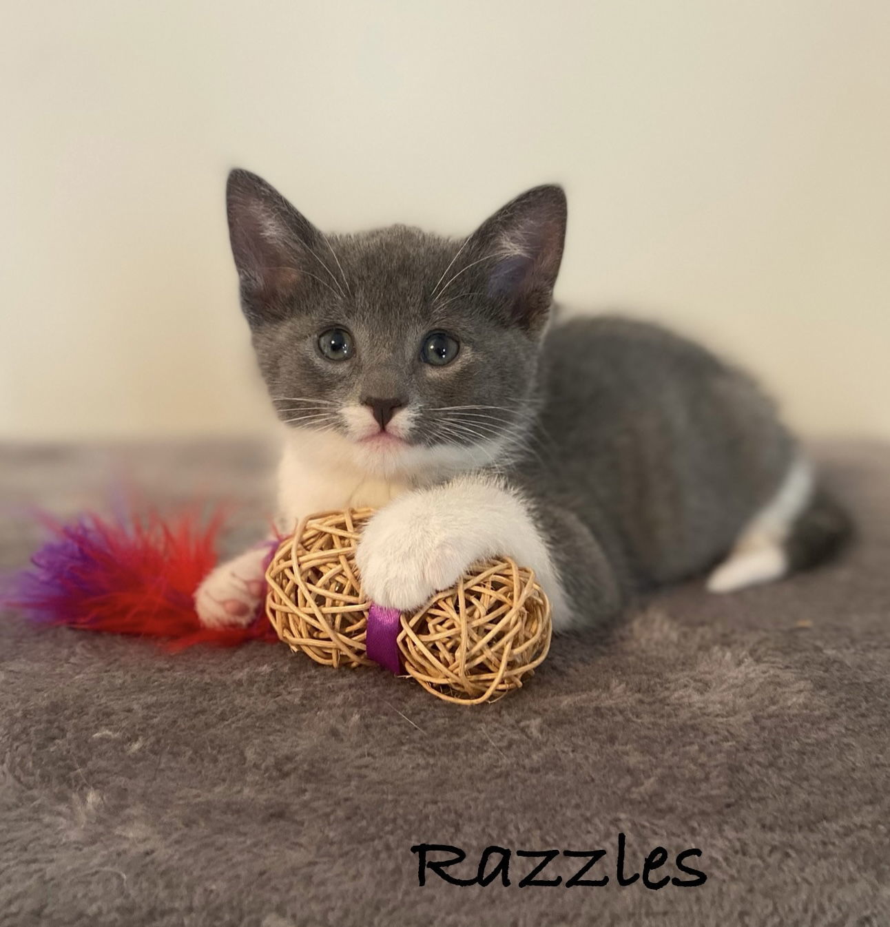 Razzles