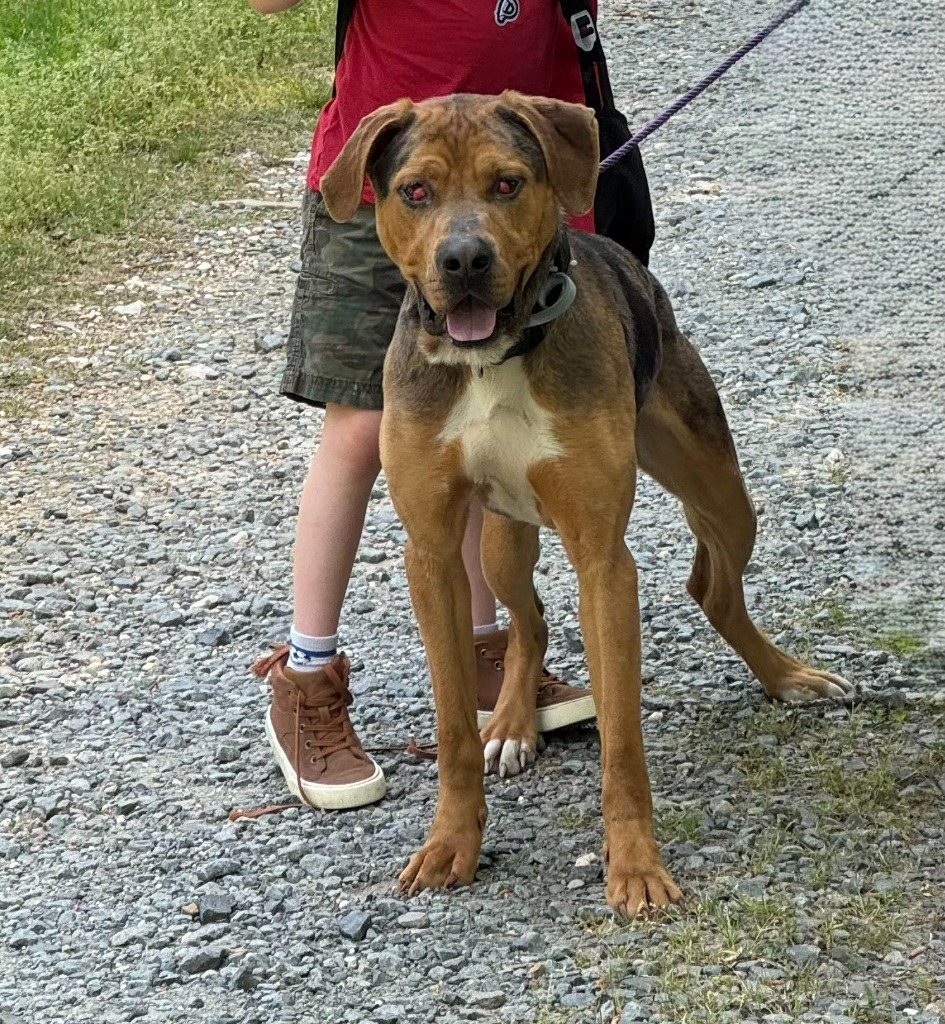 Rufus