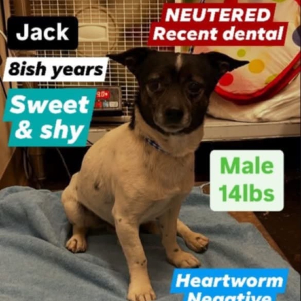 Jack