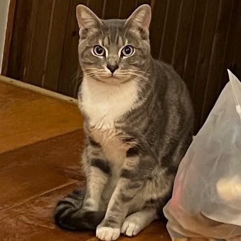 Cosmo