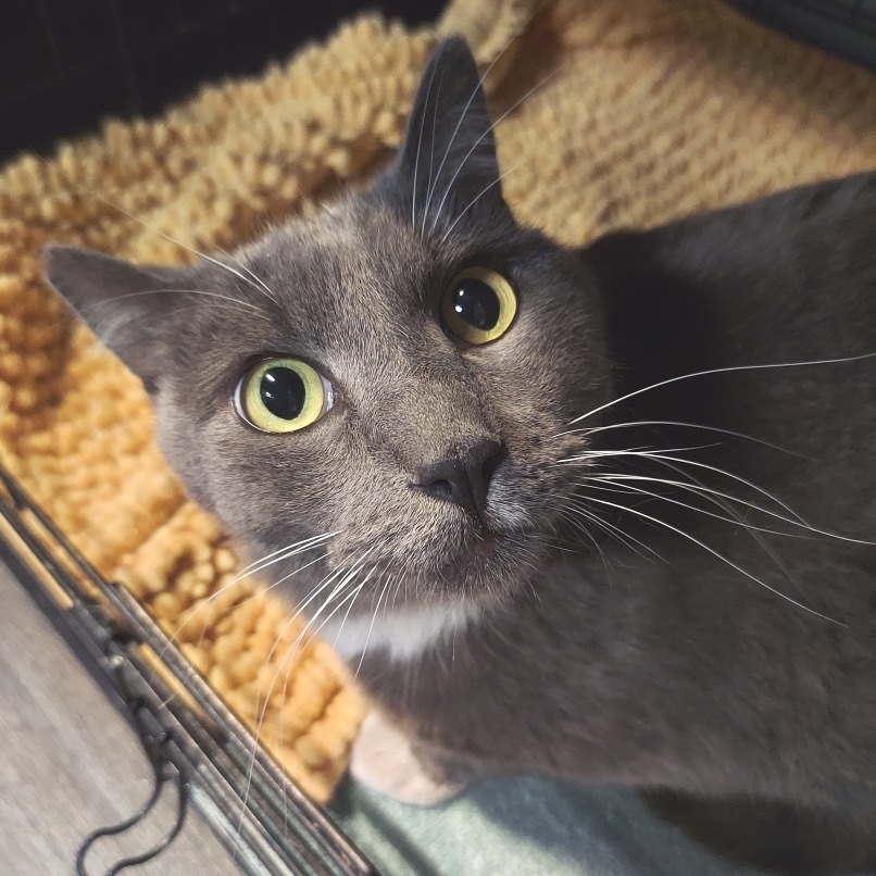 Tex