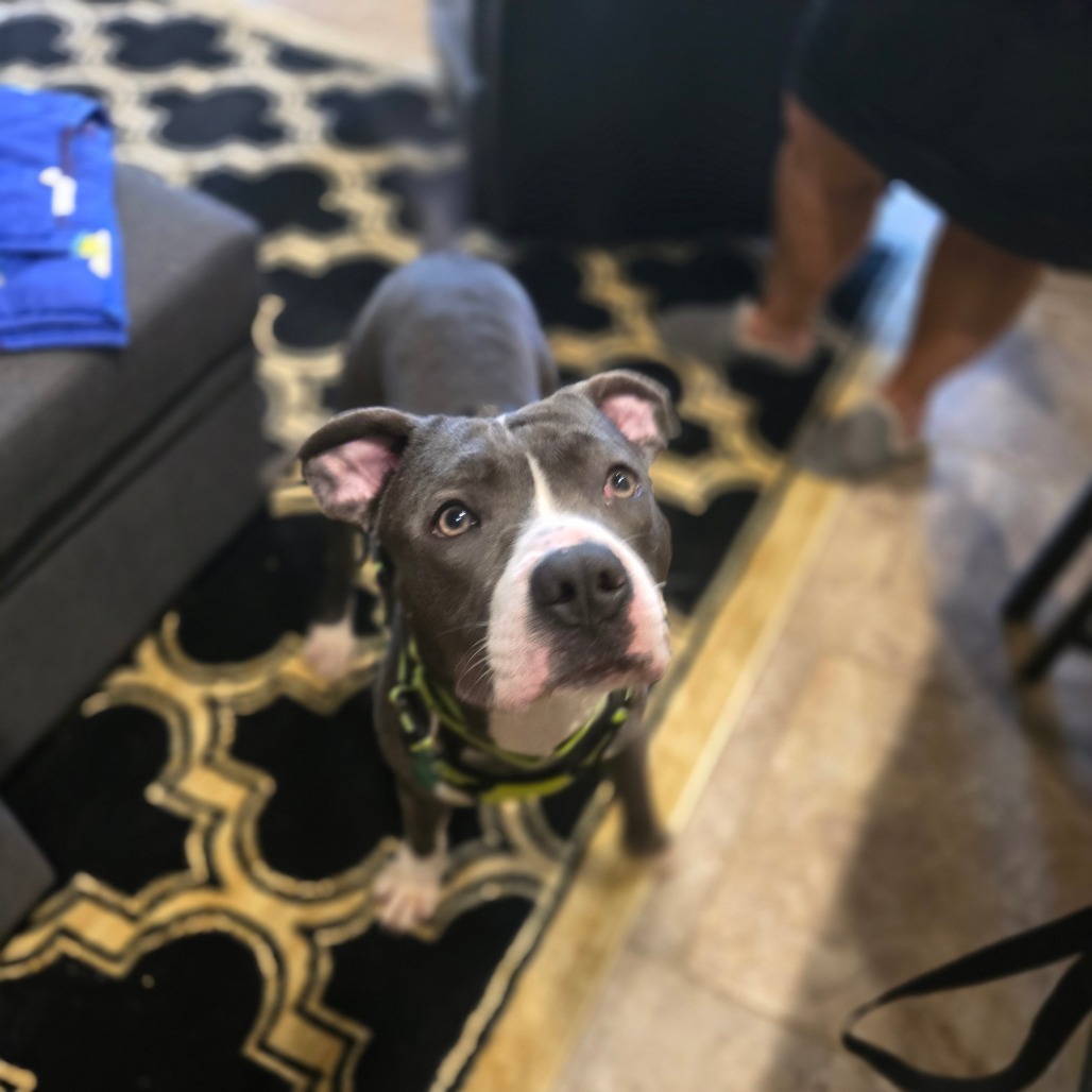 Manny
