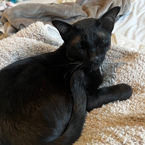 Milo