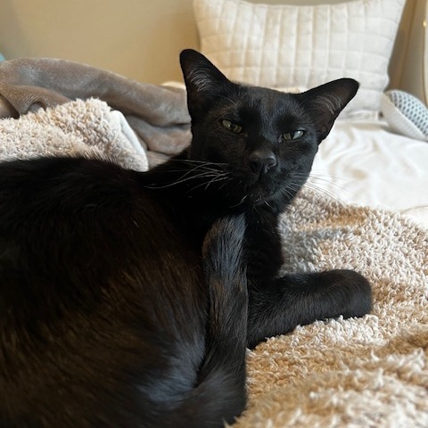 Milo