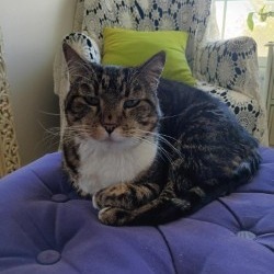 Gabby