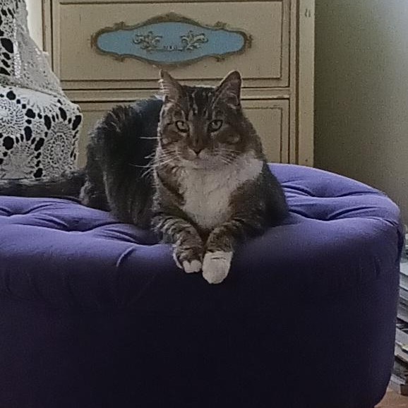 Gabby