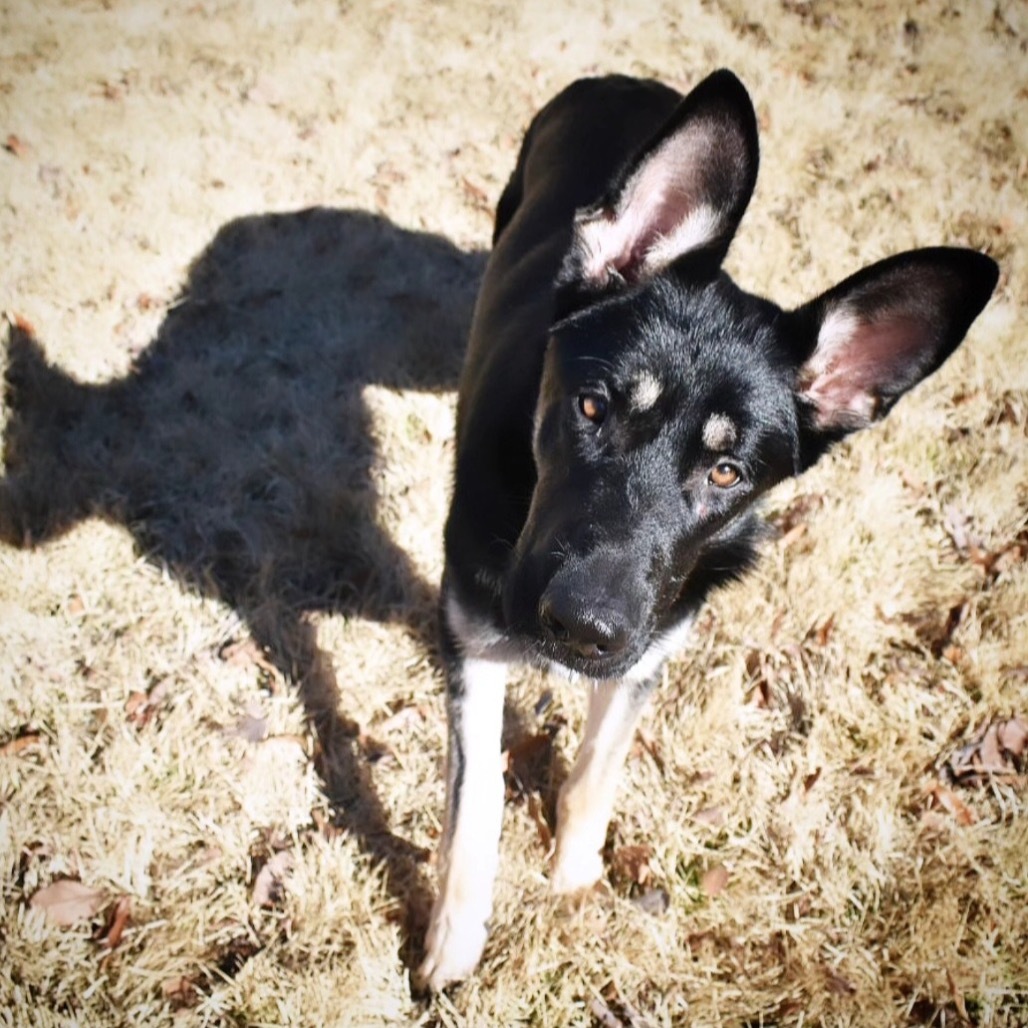 Lilah