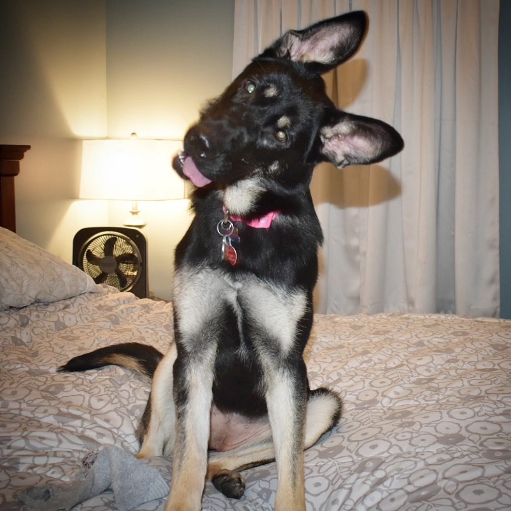 Lilah